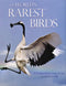World's rarest birds - Hirschfeld, E., Swash, A. & Still, R. 2013